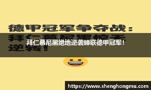 BB贝博艾佛森